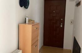 Apartament 3 camere, 52 mp, parcare, zona Muzeul Apei
