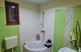 Casa individuala, 4 camere, garaj, terasa, 550 mp de teren, Luna de Sus