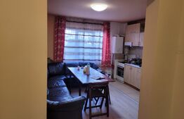 Apartament de 2 camere decomandate, 50mp, zona Petrom