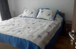 2 camere, 57 mp, TERASA de 26 mp, mobilier nou, zona Sub Cetate! Garaj subteran!