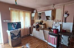 Casa individuala cu 2 camere, pivnita si anexe, 1000 mp de teren, Gilau