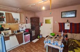 Casa individuala cu 2 camere, pivnita si anexe, 1000 mp de teren, Gilau