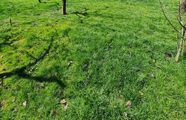 Casa individuala, 6 camere, 249 mp, 1300 mp de teren, zona Tauti