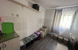 Grasoniera ,11mp, zona Iris 