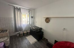 Grasoniera ,11mp, zona Iris 