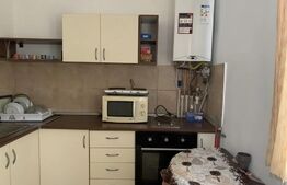 Apartament 2 camere, 45mp, pet friendly, zona strazii Fabricii de Zahar, Marasti
