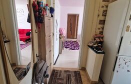 Apartament  2 camere Noua- insorit , spatios cu vedere deosebita