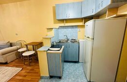 Apartament 1 camera, 21mp, etaj intermediar, zona Marasti 