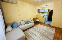 Apartament 1 camera, 21mp, etaj intermediar, zona Marasti 