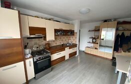 Apartament cu 2 camere decomandat, 54 mp, cu garaj, zona Regal