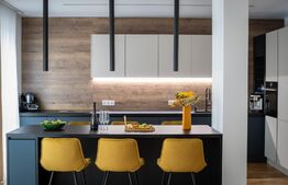 Vila de lux cu lift si priveliste panoramica,  210 mp, 350 mp teren, Gruia