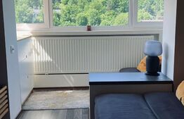 Apartament 2 camere, decomandat, Grivitei