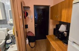 Garsoniera, 19mp, in Gruia, zona strazii Migdalului