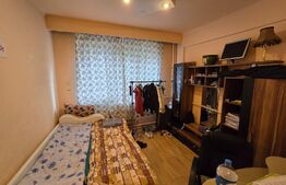 Garsoniera, 19mp, in Gruia, zona strazii Migdalului