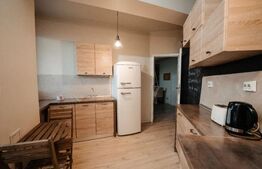 Apartament 2 camere, 57 mp, pet frendly, etaj intermediar, terasa,  COMPLEX VISION