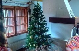 Oportunitate de investitie! Casa/cabana in Statiunea Muntele Baisorii