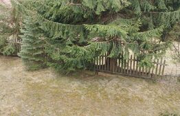 Oportunitate de investitie! Casa/cabana in Statiunea Muntele Baisorii