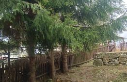 Oportunitate de investitie! Casa/cabana in Statiunea Muntele Baisorii