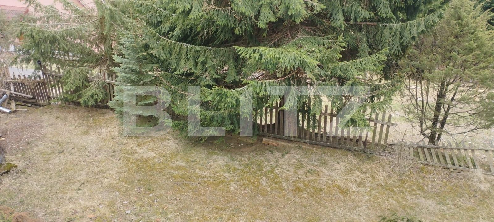 Casa de vânzare 10 camere Muntele Băişorii - 138512CV | BLITZ Cluj-Napoca | Poza18