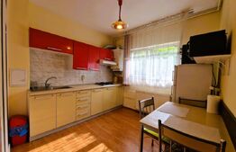 Apartament modern cu o camera, 40 mp, Plopilor