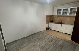 Garsoniera in centrul Clujului, 19 mp, 15 mp terasa, zona Baritiu