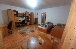 Apartament 1 camera, 33 mp, zona FSEGA