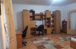 Apartament 1 camera, 33 mp, zona FSEGA