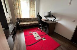 Apartament cu o camera, decomandat, etaj intermediar, Floresti