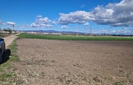 Teren Extravilan 15000 mp- parcelat in 3 loturi Bod- 5000 mp fiecare parcela 