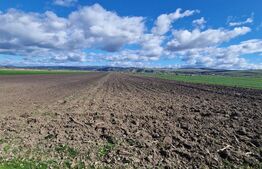 Teren Extravilan 15000 mp- parcelat in 3 loturi Bod- 5000 mp fiecare parcela 