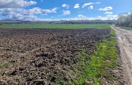 Teren Extravilan 15000 mp- parcelat in 3 loturi Bod- 5000 mp fiecare parcela 