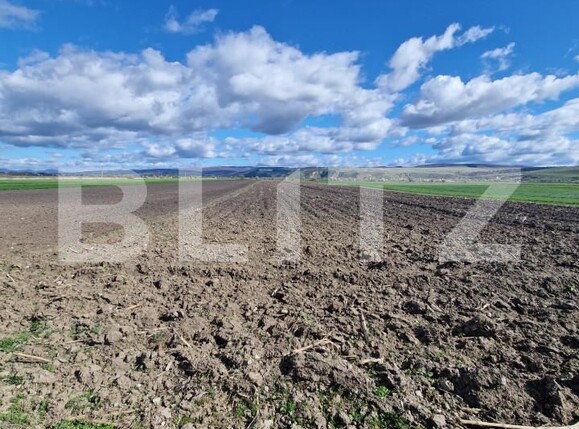 Teren de vânzare Bod - 138570TV | BLITZ Brașov | Poza5