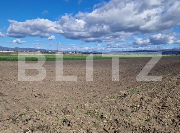 Teren de vânzare Bod - 138570TV | BLITZ Brașov | Poza2