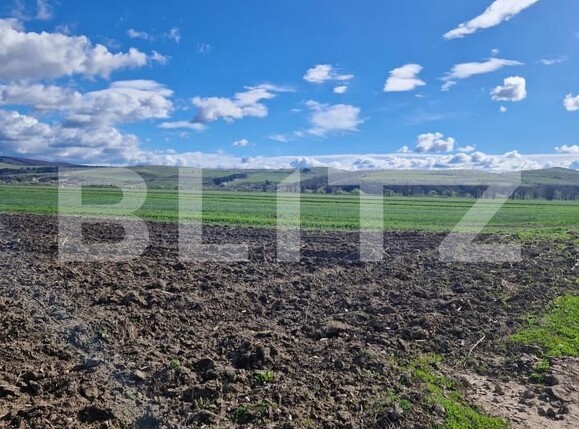 Teren de vânzare Bod - 138570TV | BLITZ Brașov | Poza3