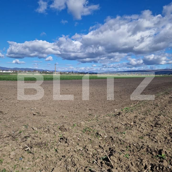 Teren de vânzare Bod - 138570TV | BLITZ Brașov | Poza2