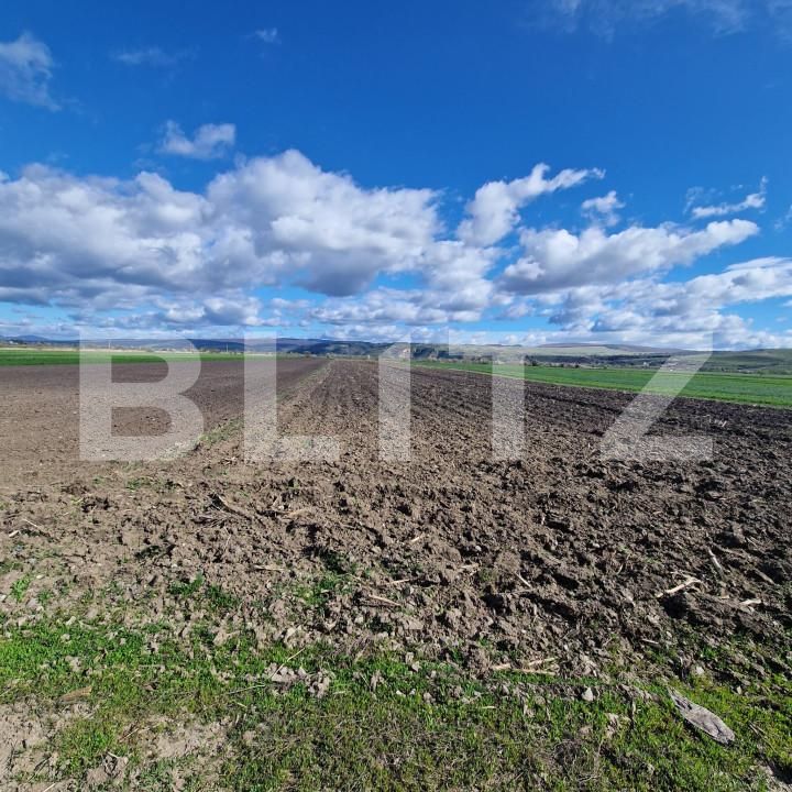 Teren de vânzare Bod - 138570TV | BLITZ Brașov | Poza4