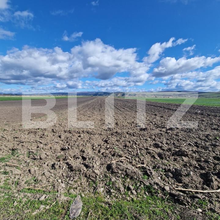 Teren de vânzare Bod - 138570TV | BLITZ Brașov | Poza5