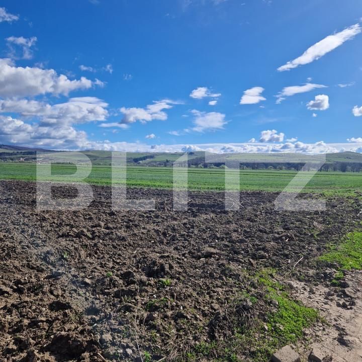 Teren de vânzare Bod - 138570TV | BLITZ Brașov | Poza3