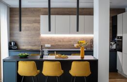 Duplex de lux cu lift si priveliste panoramica, 210 mp, 350 mp teren, Gruia