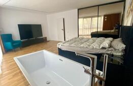 Duplex de lux cu lift si priveliste panoramica, 210 mp, 350 mp teren, Gruia