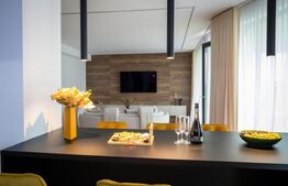 Duplex de lux cu lift si priveliste panoramica, 210 mp, 350 mp teren, Gruia