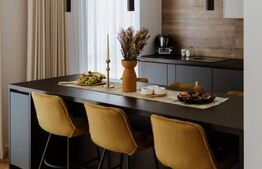 Duplex de lux cu lift si priveliste panoramica, 210 mp, 350 mp teren, Gruia