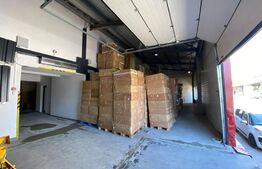 Hala gata de mutat , Calea Baciului