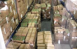 Hala gata de mutat , Calea Baciului