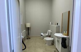 Hala gata de mutat , Calea Baciului