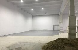 Hala gata de mutat , Calea Baciului