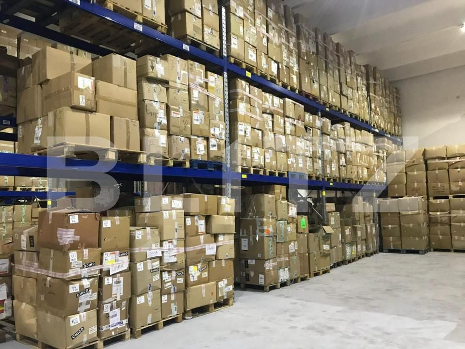 Spațiu industrial de vânzare Baciu - 138612SVI | BLITZ Cluj-Napoca | Poza15