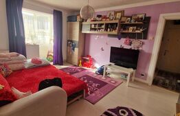 Apartament 2 camere Noua- insorit , spatios cu vedere deosebita