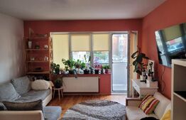 Apartament de 2 camere decomandate, 55mp utili, zona Petrom, Baciu