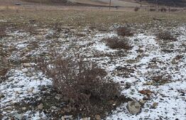 Teren intravilan Iris, industrial, 1000 mp, zona Emerson - langa Centura